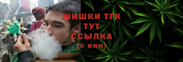 ГАЛЛЮЦИНОГЕННЫЕ ГРИБЫ Переславль-Залесский