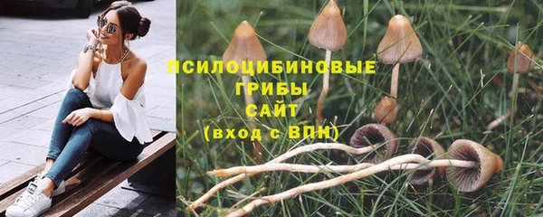 шишки Остров