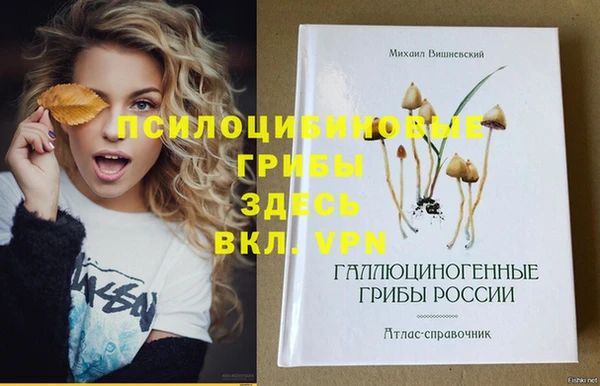 шишки Остров