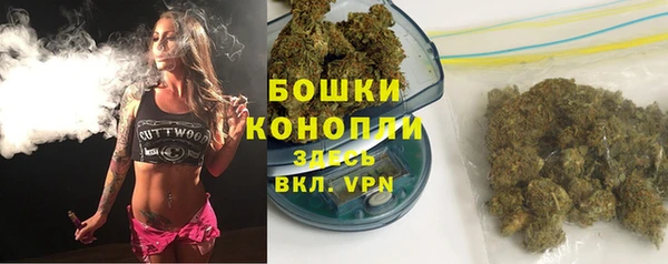 винт Осташков